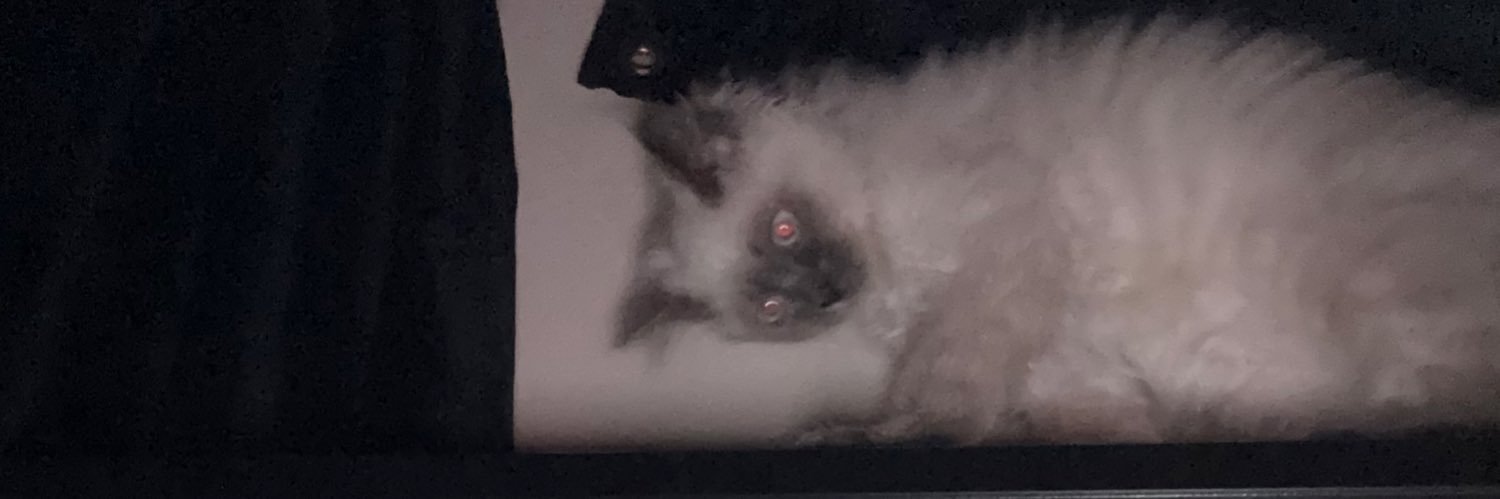 MadManMutter's profile banner image
