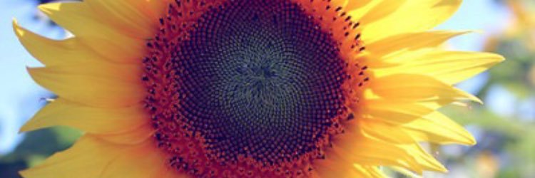 k_shay94's profile banner image