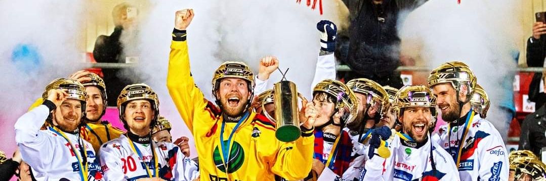 Edsbyns IF Bandy banner