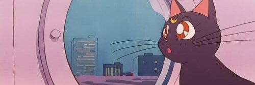 レゼ ^_^ 🐾🩵🩷 banner