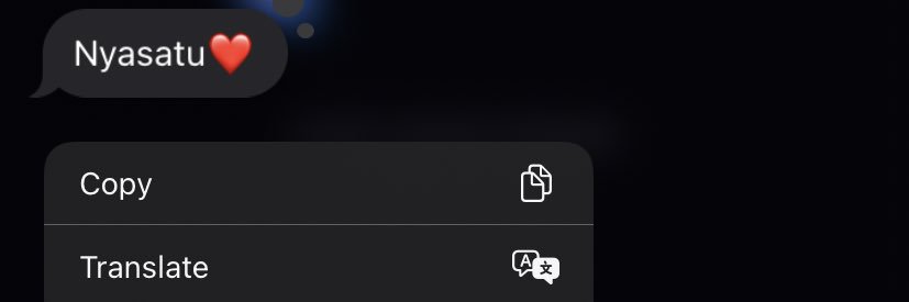 Ní yà sà tù banner