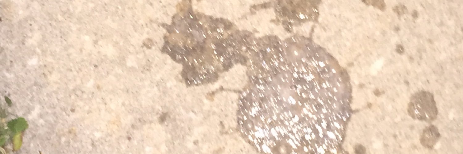 thesinfulbitch's profile banner image