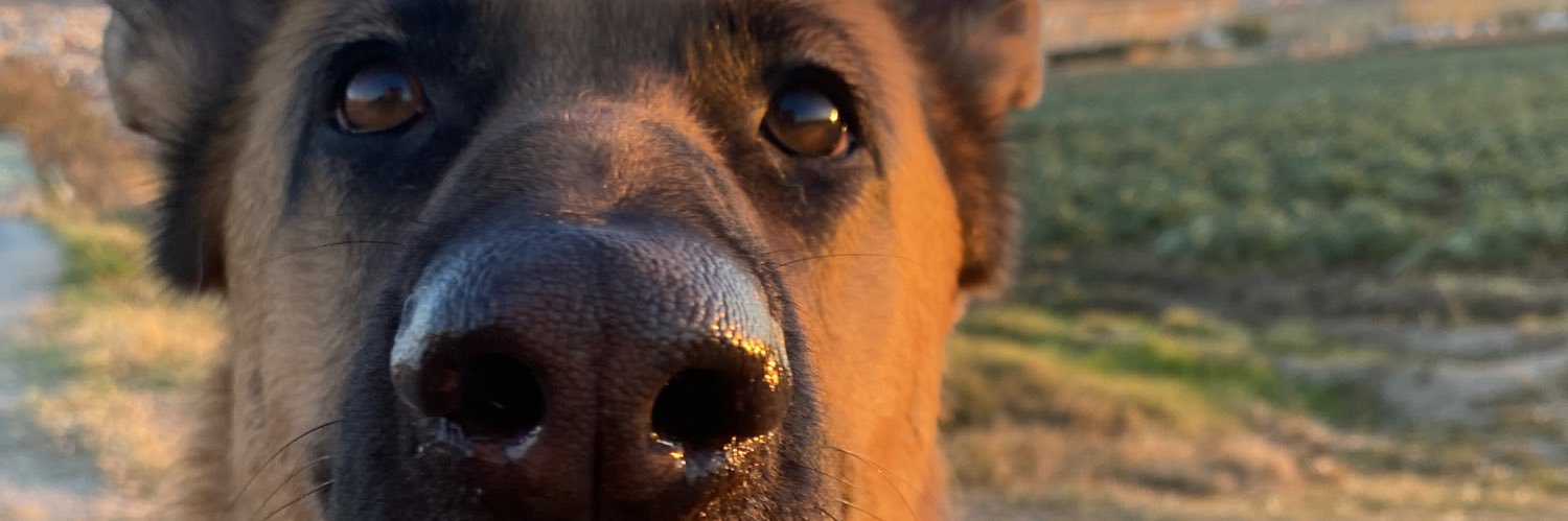 NereaSolier's profile banner image