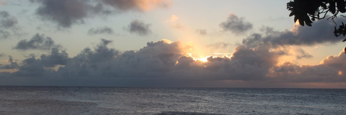 connorlin3's profile banner image