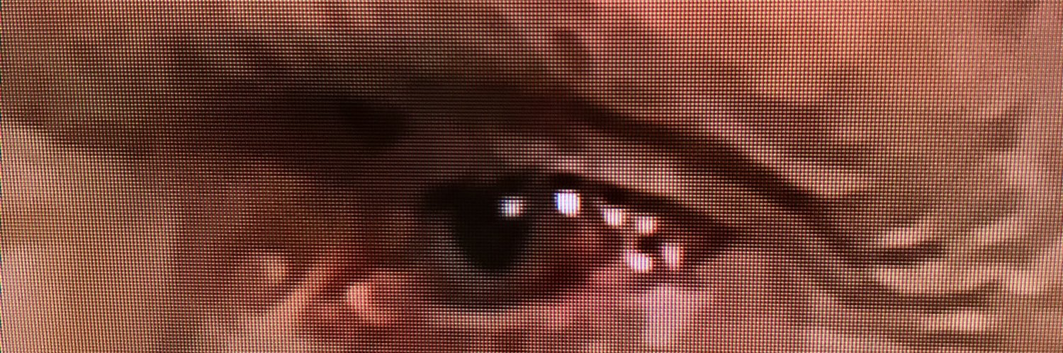 rabidbigdummy's profile banner image