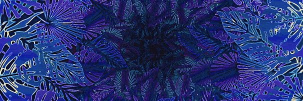 Conor Dempsey banner