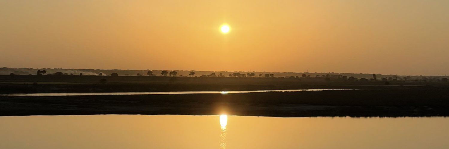 thejokingtiger's profile banner image