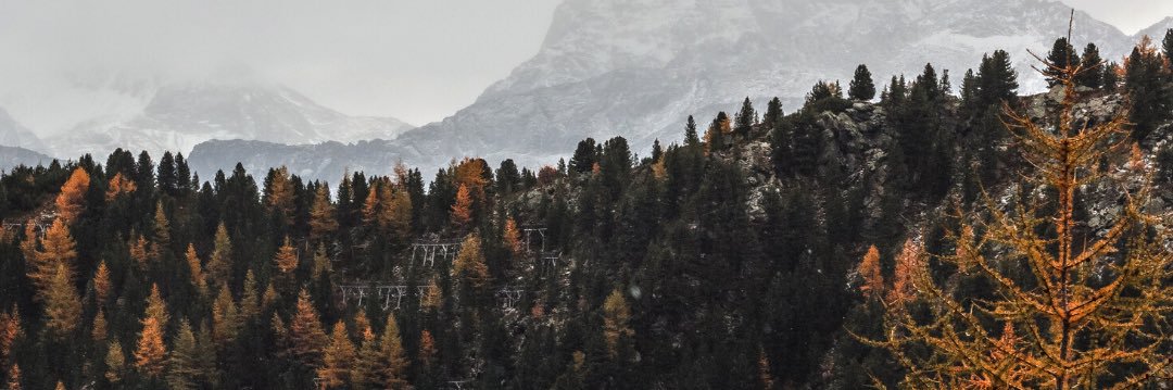 Marc VM banner