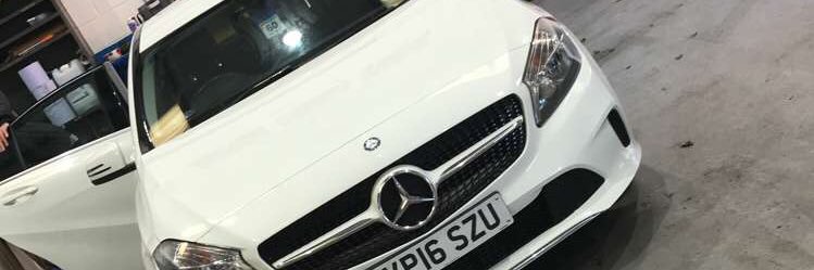RyanleeHOH's profile banner image