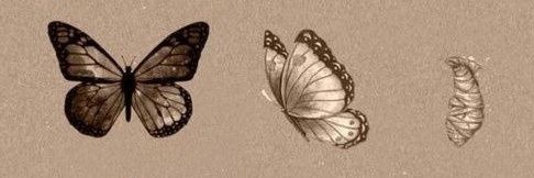 dncilknur's profile banner image