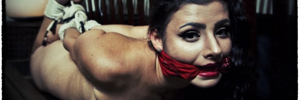 PaBound | Bondage & Fetish Damsel-in-Distress Art banner