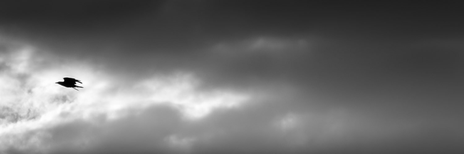 RichardLPastore's profile banner image