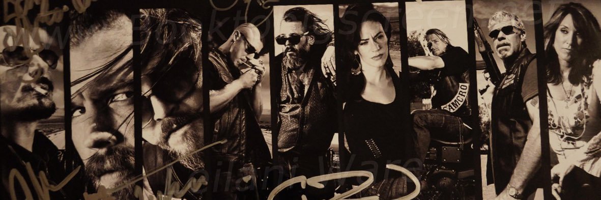 Daniel Verbeke banner