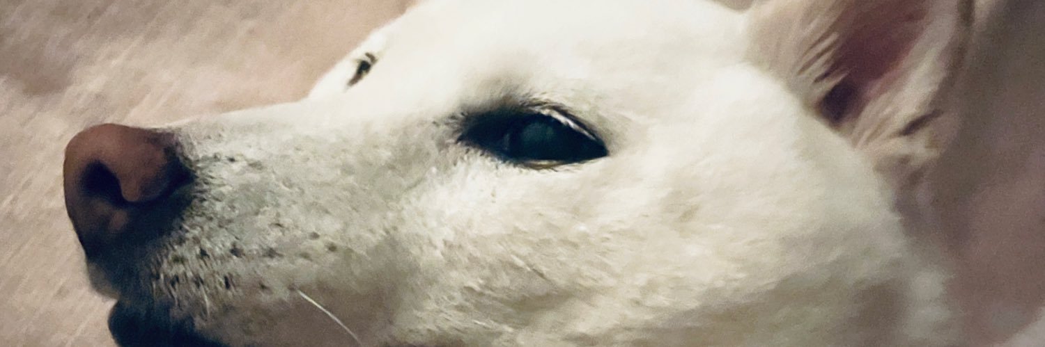 hit_ok's profile banner image