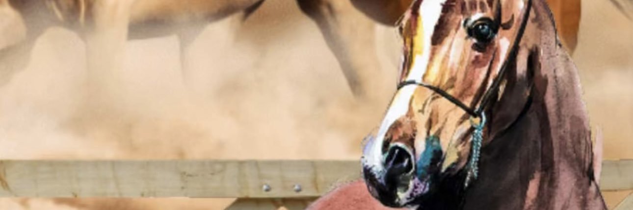 Abdulazizabdulrahman banner