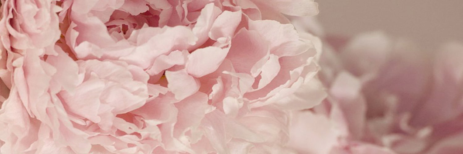 dollydoris_'s profile banner image