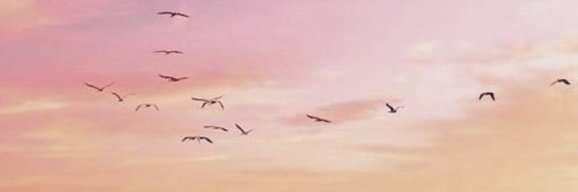 _Muriiel's profile banner image
