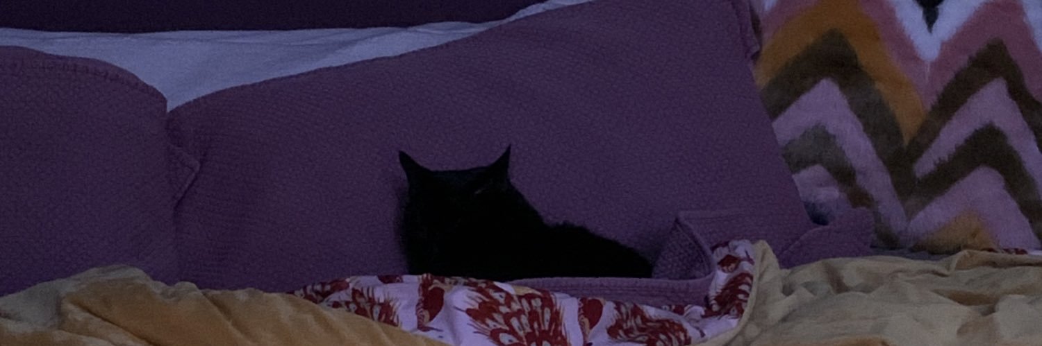 sleepymeegs's profile banner image