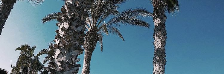 albane_vgrn's profile banner image
