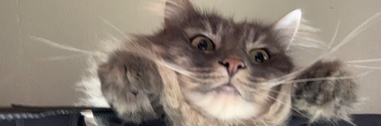 zarfunk's profile banner image