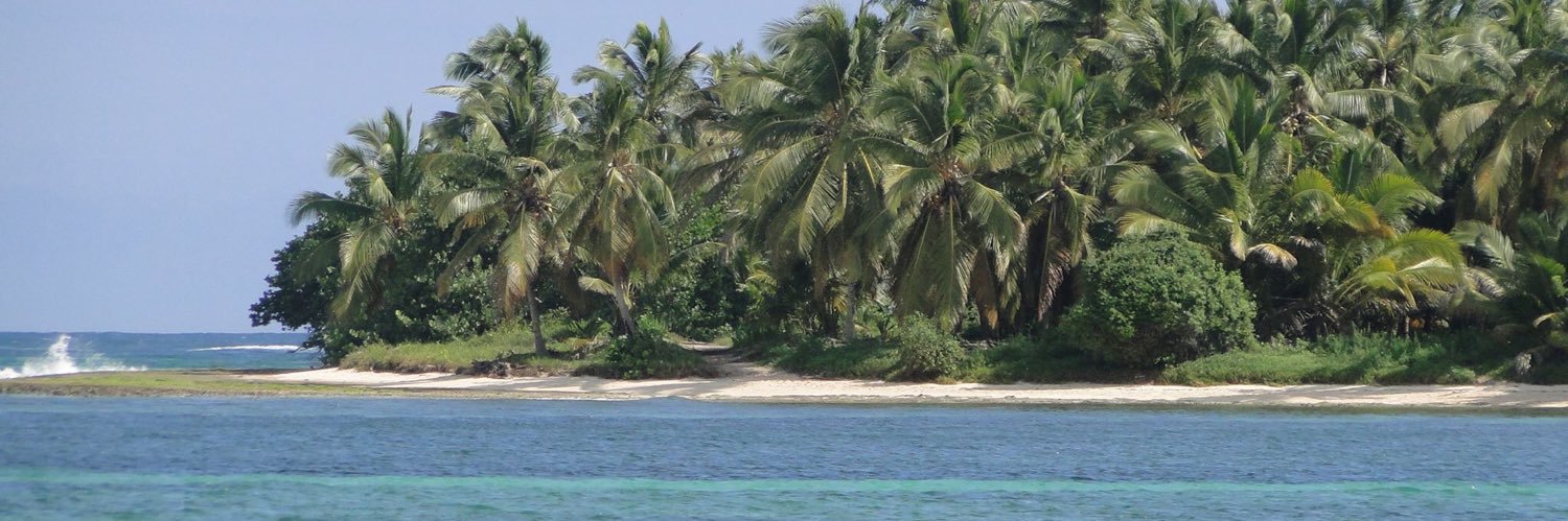 Kathy Madison banner