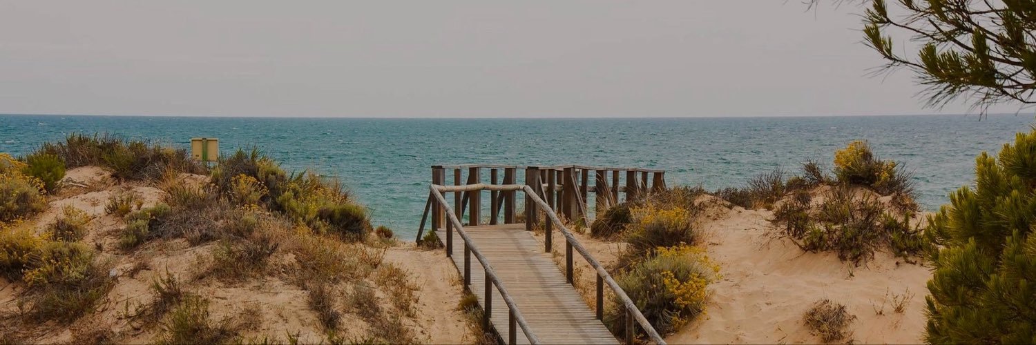 anarmrc's profile banner image