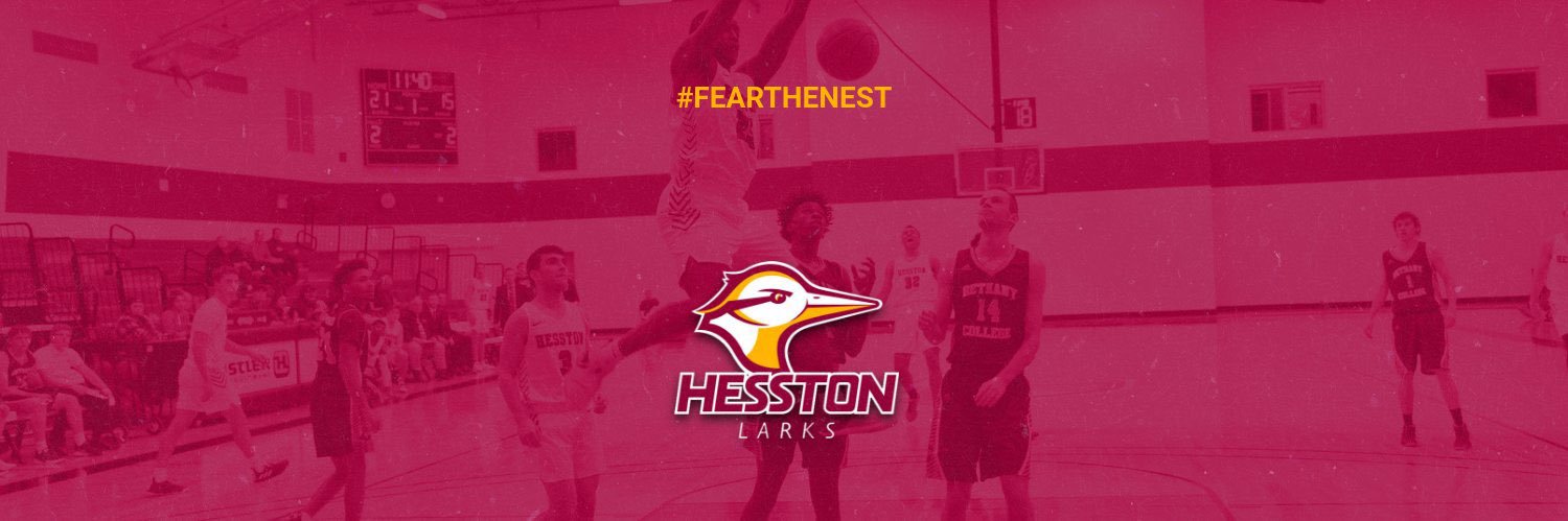 Hesston College Larks banner