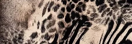 toniasinterlude's profile banner image