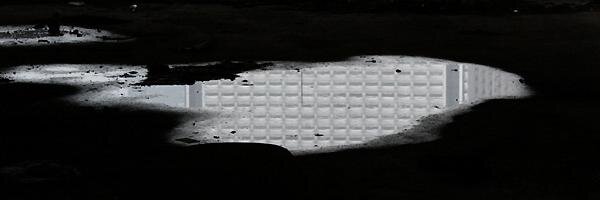 Christopher Hauss banner