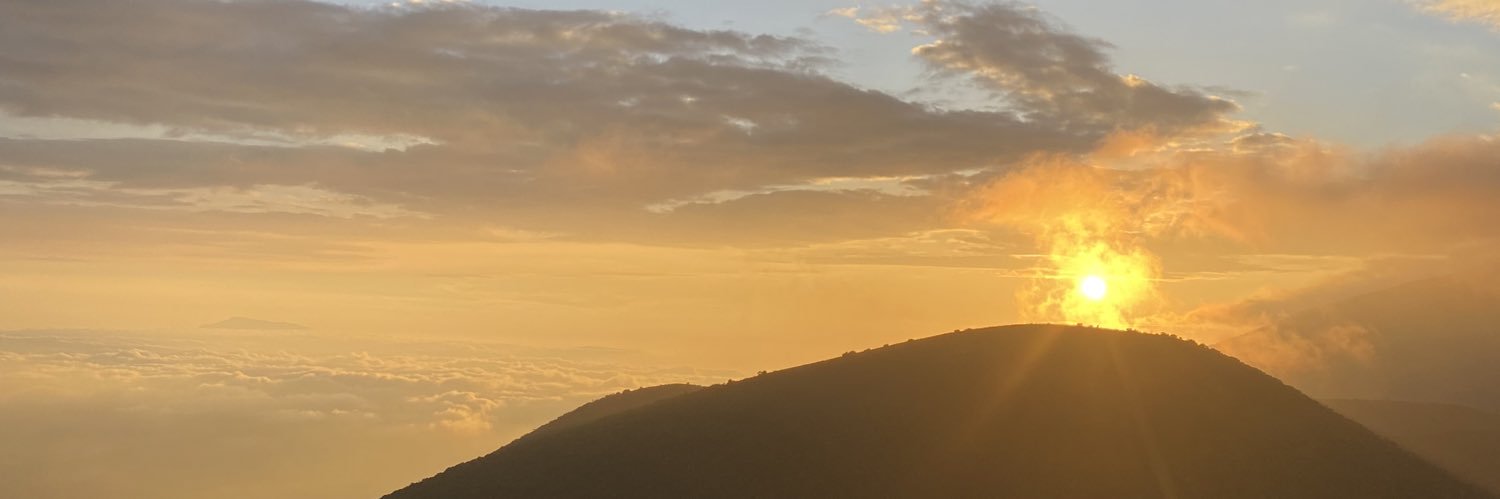 itztherealdes's profile banner image