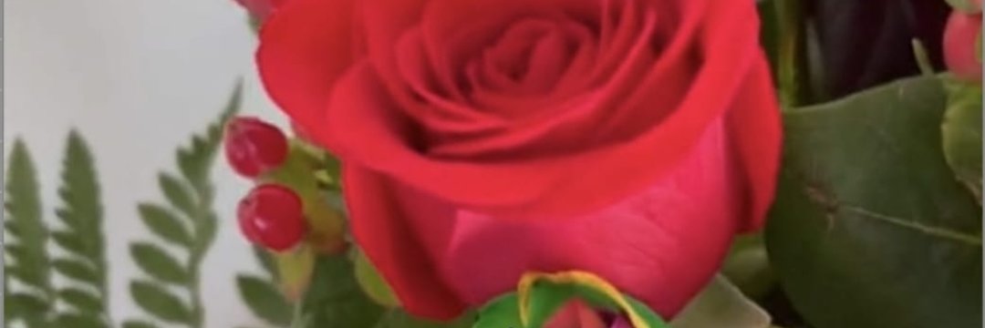 موتی بزار اسکول پنڈی banner