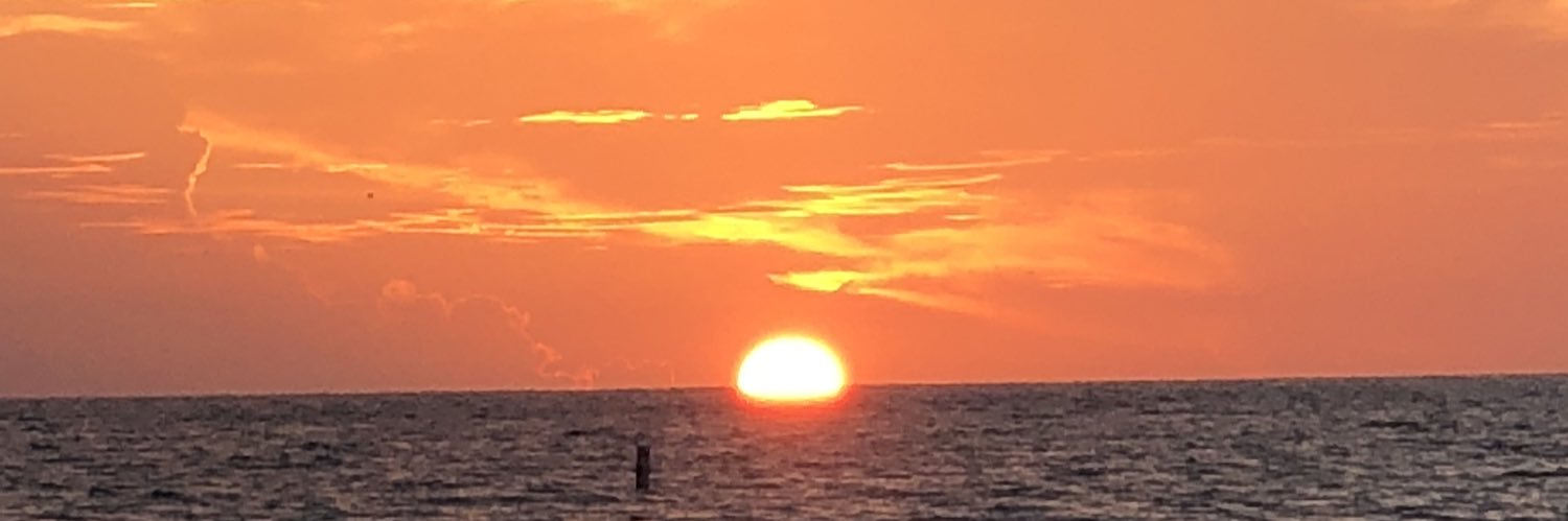 SqlNathan's profile banner image