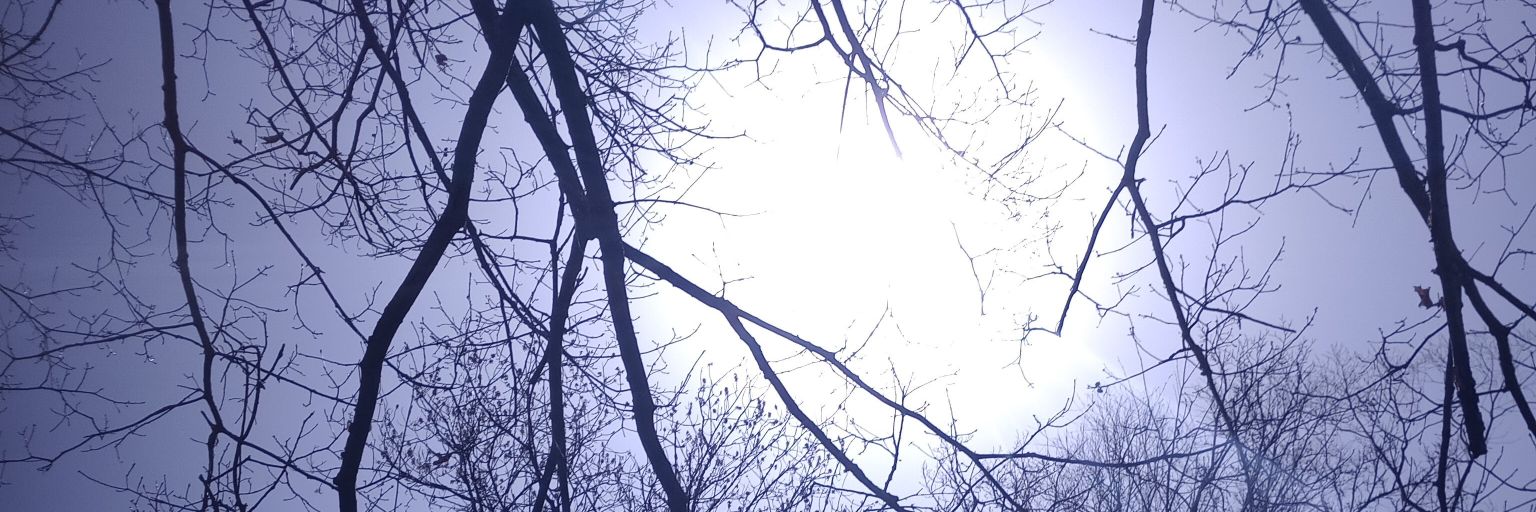 phoenixmi's profile banner image