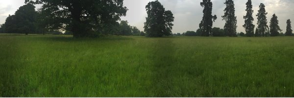 timanstiss Profile Banner