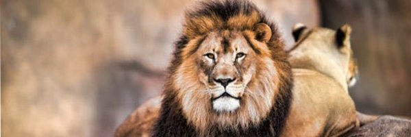 K2_Wade Profile Banner