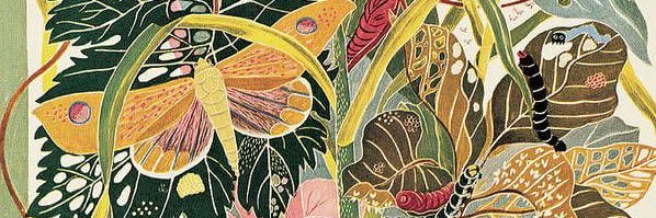 letpimente's profile banner image
