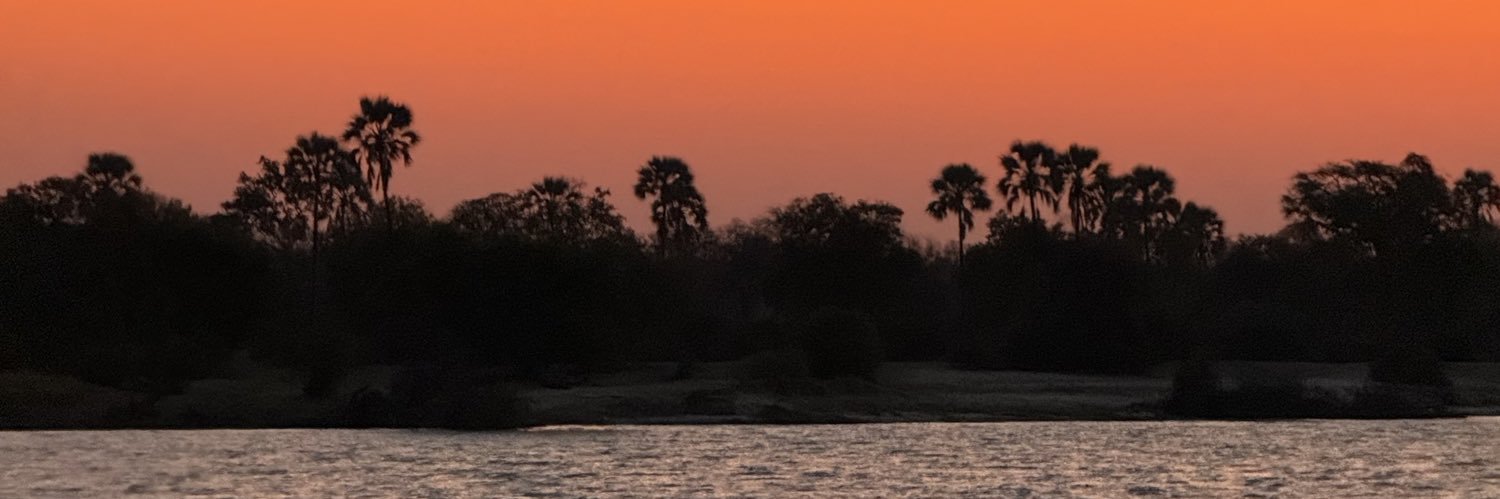 allisonmcgeever's profile banner image