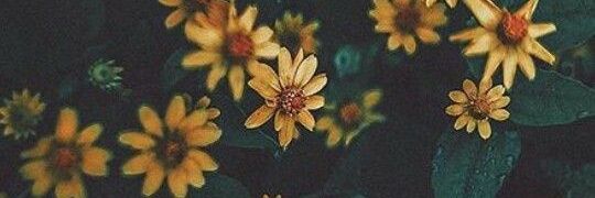MaryOGhally's profile banner image