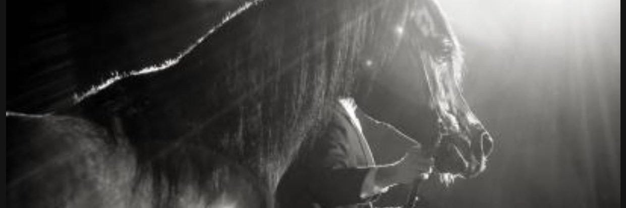 mariosaid40's profile banner image