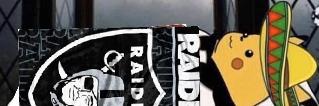 GS Raider banner