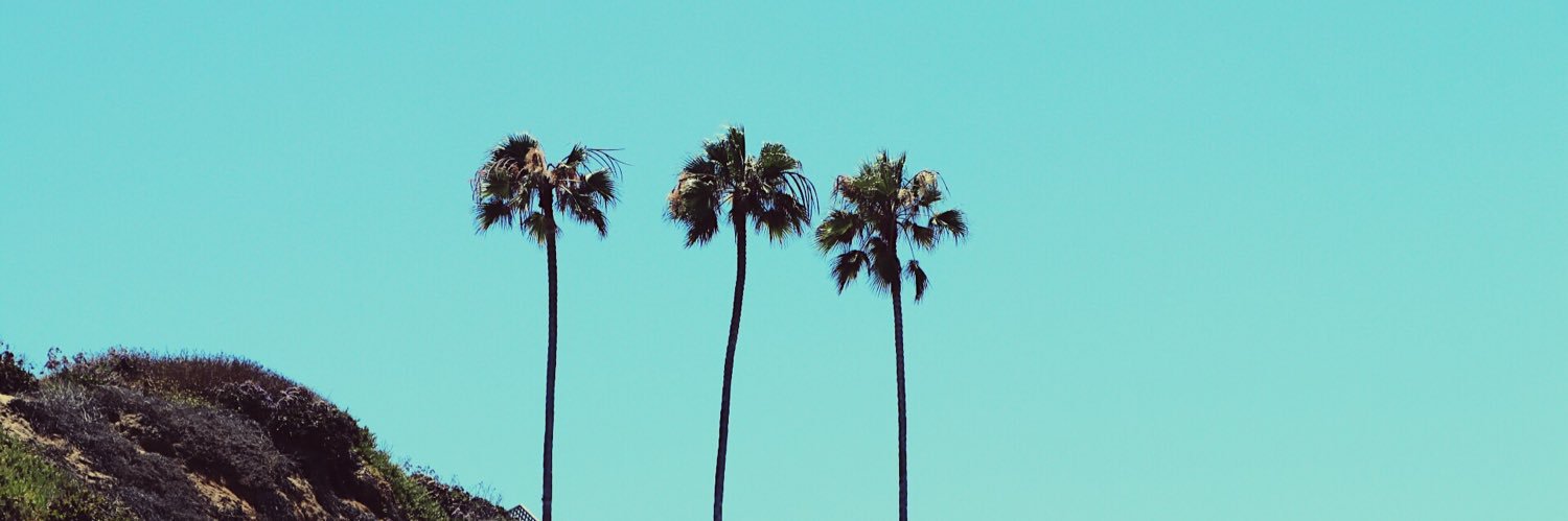 laurenlemmon's profile banner image