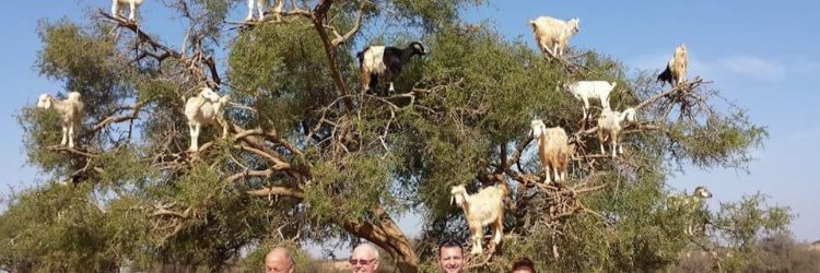 woater11's profile banner image