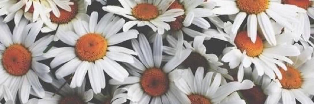 AFlores_2's profile banner image