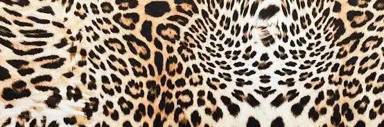 _desfulani's profile banner image
