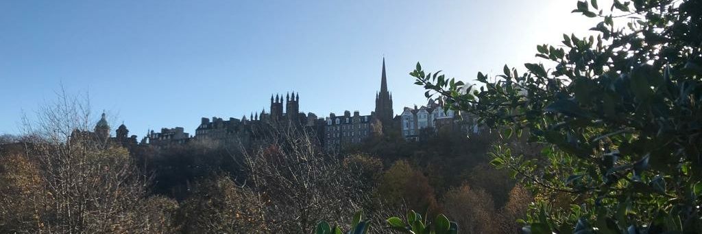 Irene Rodríguez banner