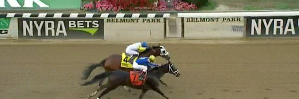 dmoses34 Profile Banner