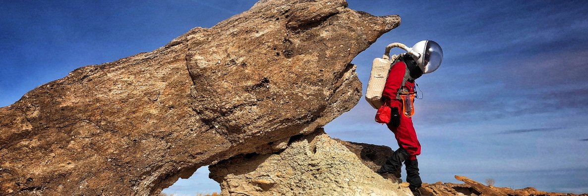 Julia DeMarines banner