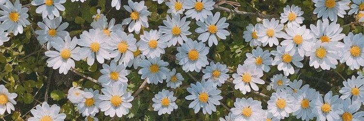 Gflorencia_e's profile banner image