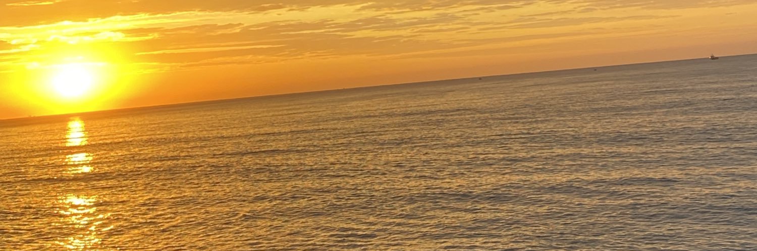 AliceMota17's profile banner image