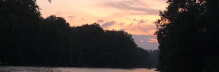 graciesohn's profile banner image